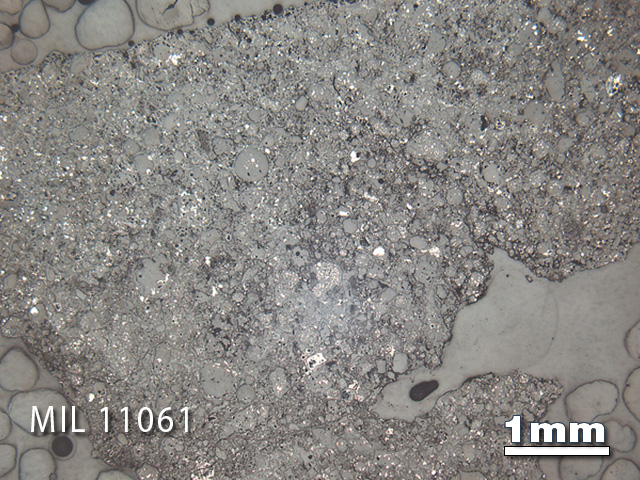 Thin Section Photo of Sample MIL 11061 in Reflected Light with 1.25x Magnification