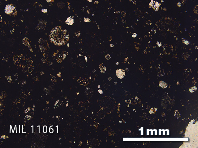 Thin Section Photo of Sample MIL 11061 in Plane-Polarized Light with 2.5x Magnification