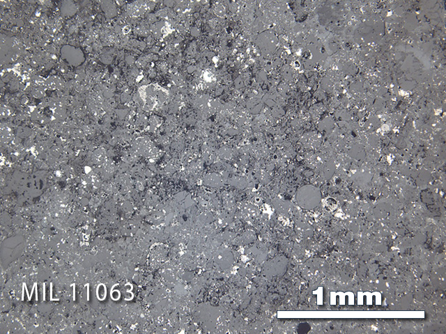 Thin Section Photo of Sample MIL 11063 in Reflected Light with 2.5x Magnification