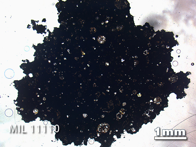 Thin Section Photo of Sample MIL 11110 in Plane-Polarized Light with 1.25x Magnification