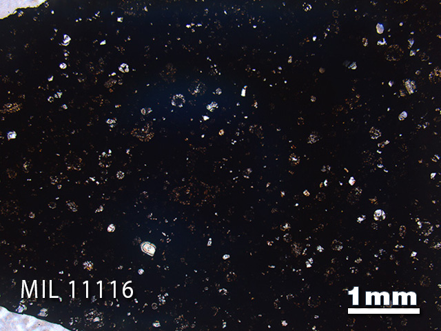 Thin Section Photo of Sample MIL 11116 in Plane-Polarized Light with 1.25x Magnification