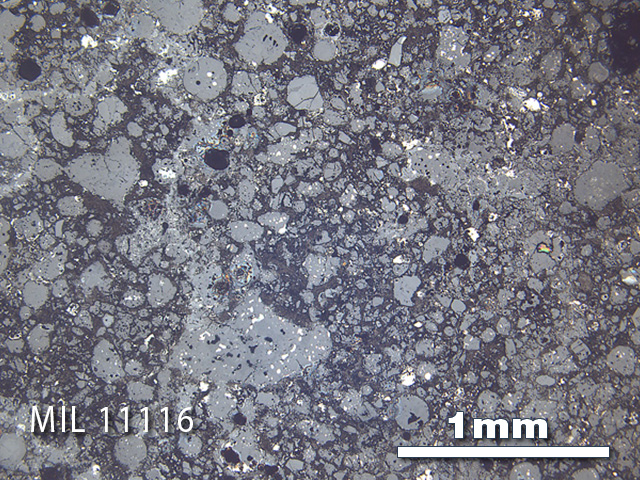 Thin Section Photo of Sample MIL 11116 in Reflected Light with 2.5x Magnification