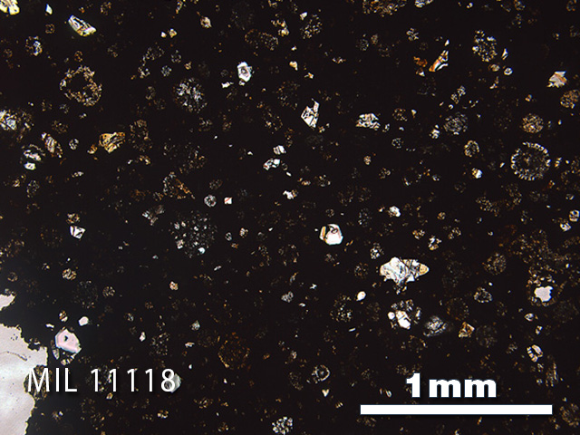Thin Section Photo of Sample MIL 11118 in Plane-Polarized Light with 2.5x Magnification