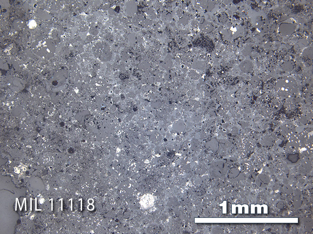 Thin Section Photo of Sample MIL 11118 in Reflected Light with 2.5x Magnification