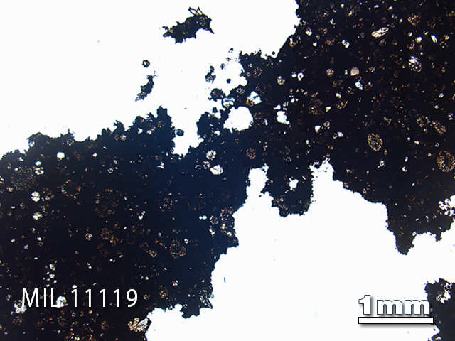 Thin Section Photo of Sample MIL 11119 in Plane-Polarized Light with 1.25x Magnification