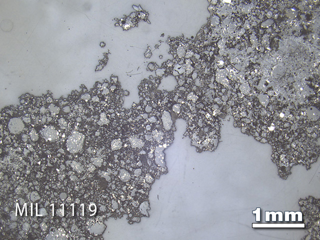 Thin Section Photo of Sample MIL 11119 in Reflected Light with 1.25x Magnification