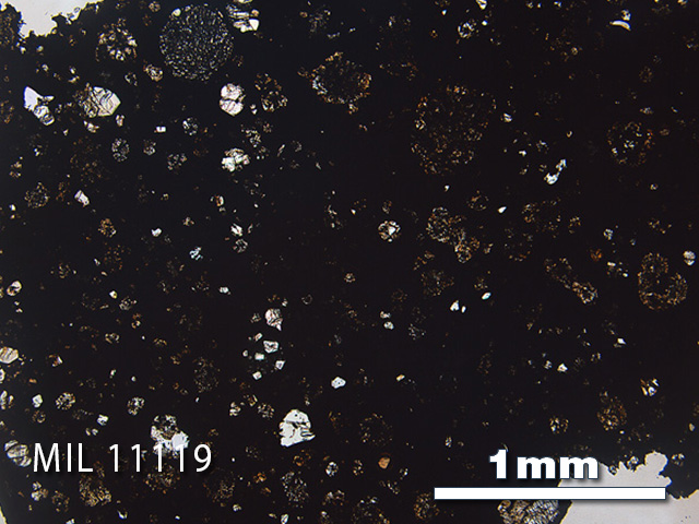 Thin Section Photo of Sample MIL 11119 in Plane-Polarized Light with 2.5x Magnification