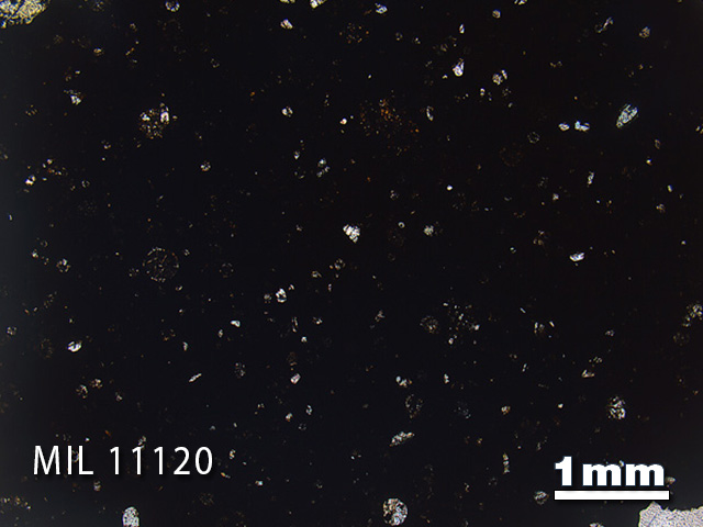 Thin Section Photo of Sample MIL 11120 in Plane-Polarized Light with 1.25x Magnification