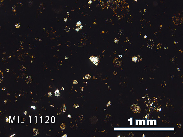 Thin Section Photo of Sample MIL 11120 in Plane-Polarized Light with 2.5x Magnification