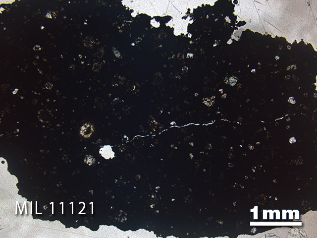 Thin Section Photo of Sample MIL 11121 in Plane-Polarized Light with 1.25x Magnification