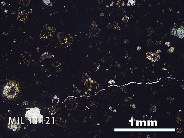 Thin Section Photo of Sample MIL 11121 in Plane-Polarized Light with 2.5x Magnification
