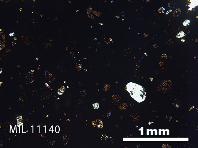 Thin Section Photo of Sample MIL 11140 in Plane-Polarized Light with 2.5x Magnification