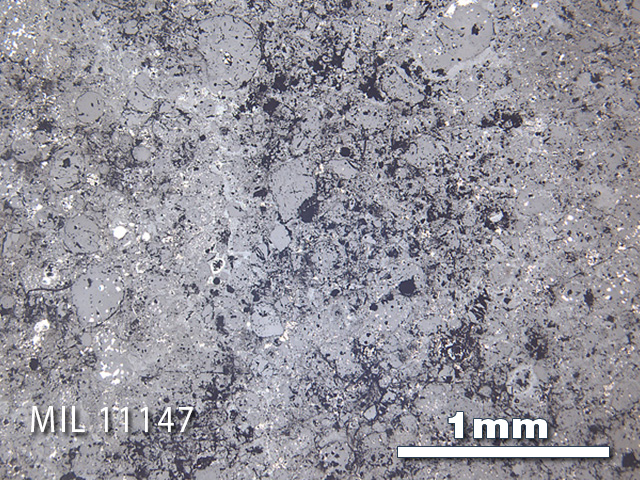 Thin Section Photo of Sample MIL 11147 in Reflected Light with 2.5x Magnification