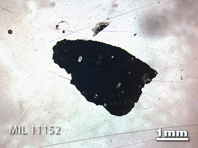 Thin Section Photo of Sample MIL 11152 in Plane-Polarized Light with 1.25x Magnification