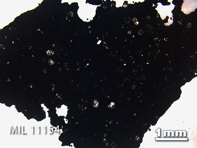 Thin Section Photo of Sample MIL 11154 in Plane-Polarized Light with 1.25x Magnification