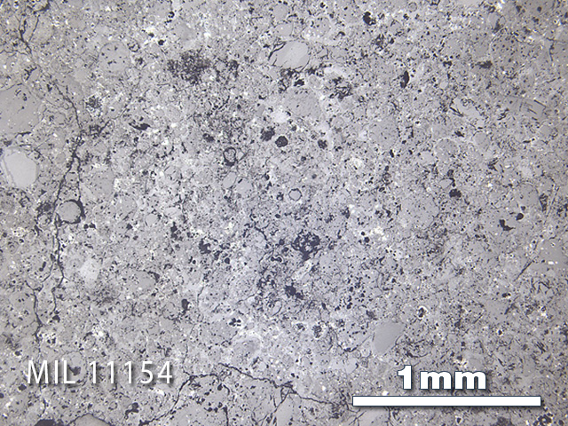 Thin Section Photo of Sample MIL 11154 in Reflected Light with 2.5x Magnification