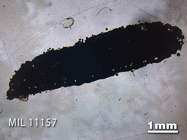 Thin Section Photo of Sample MIL 11157 in Plane-Polarized Light with 1.25x Magnification