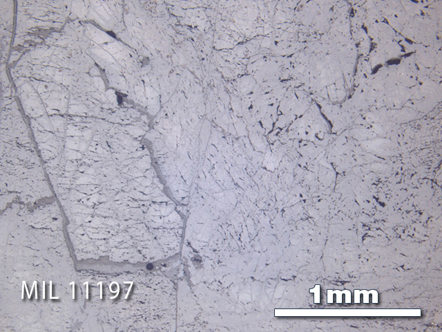Thin Section Photo of Sample MIL 11197 in Reflected Light with 2.5X Magnification