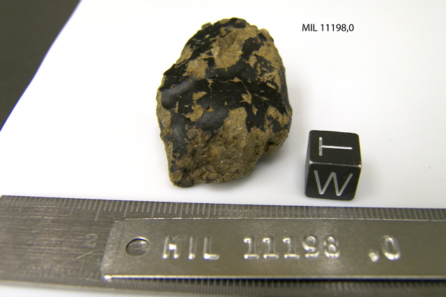 Lab Photo of Sample MIL 11198 Showing West View