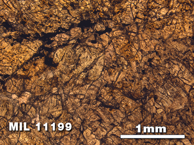 Thin Section Photo of Sample MIL 11199 in Plane-Polarized Light with 2.5X Magnification