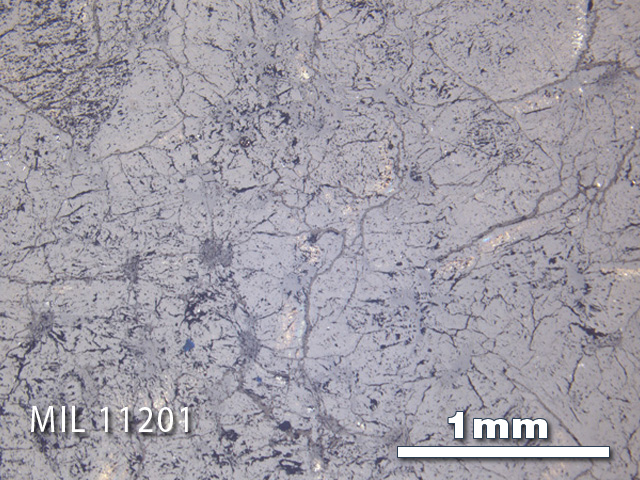Thin Section Photo of Sample MIL 11201 in Reflected Light with 2.5X Magnification