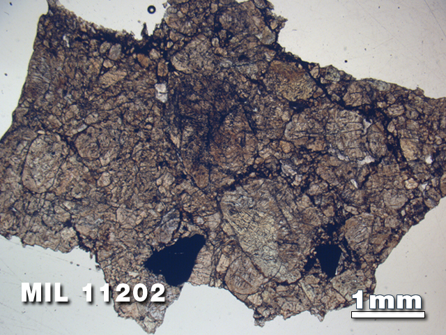 Thin Section Photo of Sample MIL 11202 in Plane-Polarized Light with 1.25X Magnification