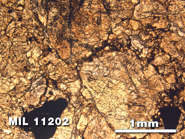 Thin Section Photo of Sample MIL 11202 in Plane-Polarized Light with 2.5X Magnification