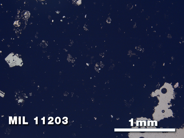 Thin Section Photo of Sample MIL 11203 in Plane-Polarized Light with 2.5X Magnification