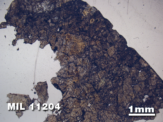 Thin Section Photo of Sample MIL 11204 in Plane-Polarized Light with 1.25X Magnification