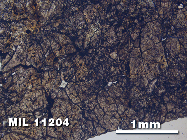 Thin Section Photo of Sample MIL 11204 in Plane-Polarized Light with 2.5X Magnification