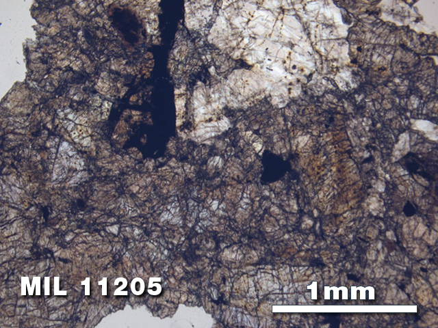 Thin Section Photo of Sample MIL 11205 in Plane-Polarized Light with 2.5X Magnification