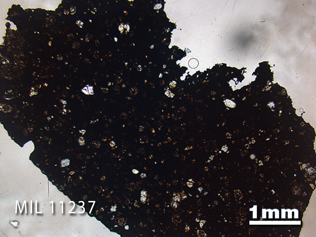 Thin Section Photo of Sample MIL 11237 in Plane-Polarized Light with 1.25x Magnification
