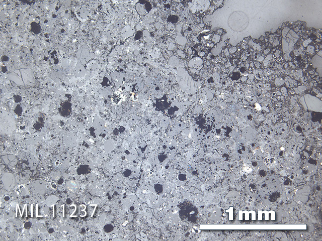 Thin Section Photo of Sample MIL 11237 in Reflected Light with 2.5x Magnification