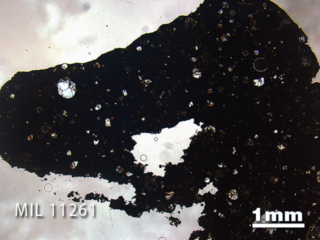 Thin Section Photo of Sample MIL 11261 in Plane-Polarized Light with 1.25x Magnification