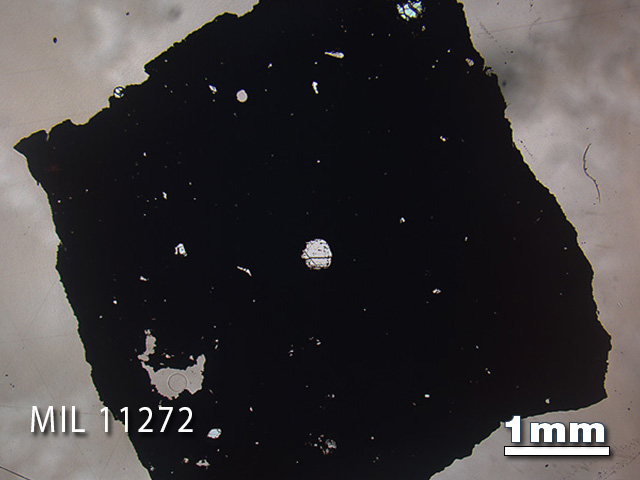 Thin Section Photo of Sample MIL 11272 in Plane-Polarized Light with 1.25x Magnification