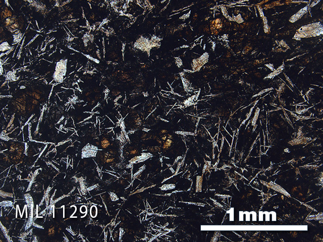 Thin Section Photo of Sample MIL 11290 in Plane-Polarized Light with 2.5x Magnification