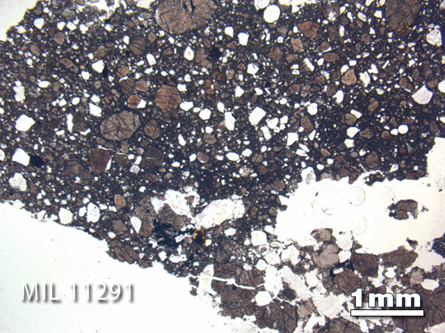 Thin Section Photo of Sample MIL 11291 in Plane-Polarized Light with 1.25X Magnification