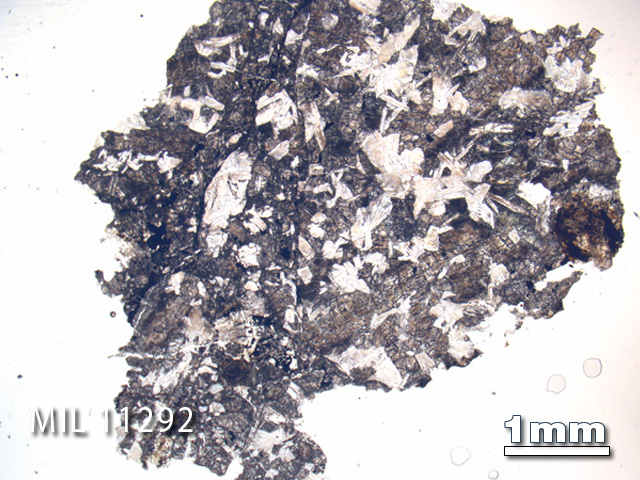 Thin Section Photo of Sample MIL 11292 in Plane-Polarized Light with 1.25X Magnification