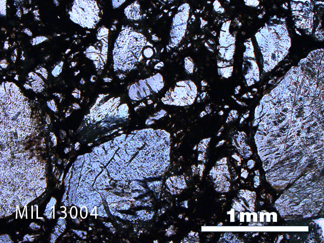 Thin Section Photo of Sample MIL 13004 in Plane-Polarized Light with 2.5X Magnification