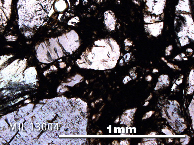 Thin Section Photo of Sample MIL 13004 in Plane-Polarized Light with 5X Magnification