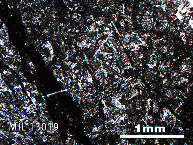 Thin Section Photo of Sample MIL 13019 in Plane-Polarized Light with 2.5X Magnification