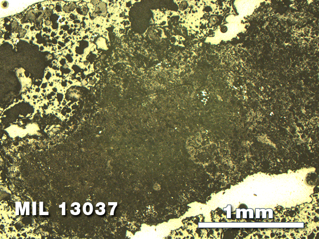 Thin Section Photo of Sample MIL 13037 in Reflected Light with 2.5X Magnification