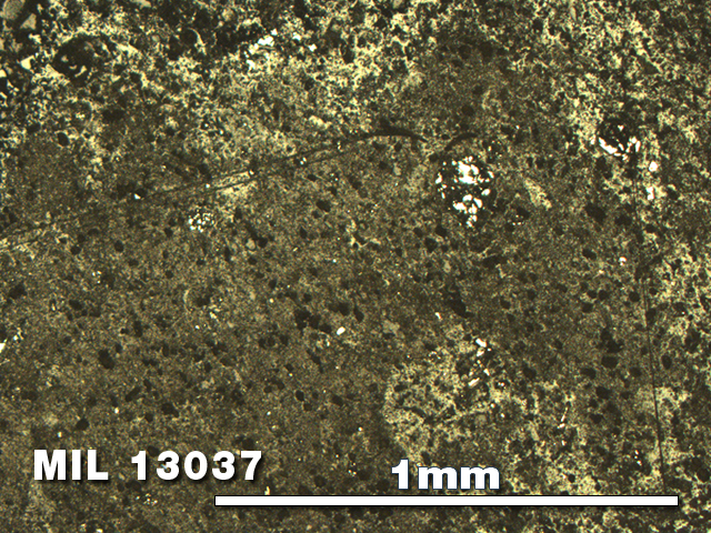Thin Section Photo of Sample MIL 13037 in Reflected Light with 5X Magnification