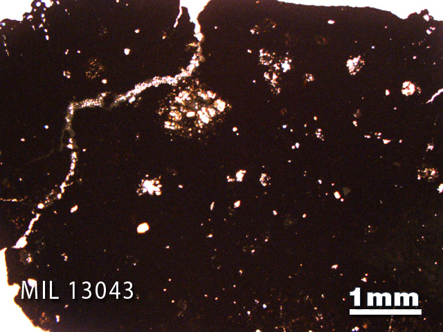 Thin Section Photo of Sample MIL 13043 in Plane-Polarized Light with 1.25X Magnification