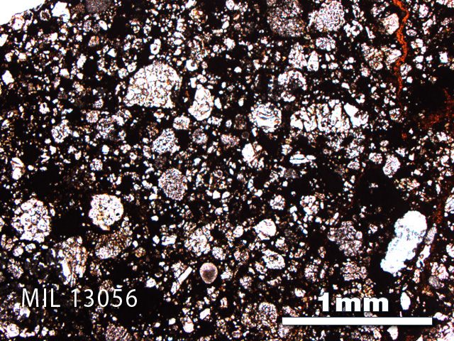Thin Section Photo of Sample MIL 13056 in Plane-Polarized Light with 2.5X Magnification