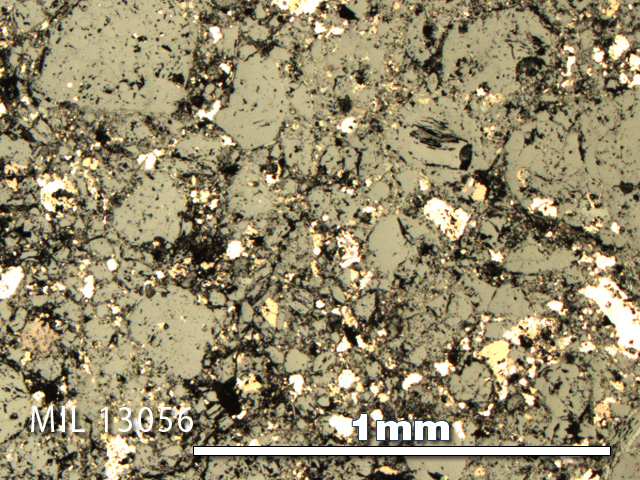 Thin Section Photo of Sample MIL 13056 in Reflected Light with 5X Magnification