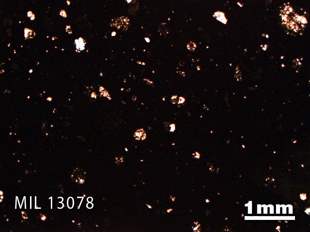 Thin Section Photo of Sample MIL 13078 in Plane-Polarized Light with 1.25X Magnification
