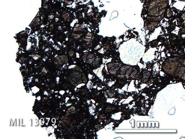 Thin Section Photo of Sample MIL 13079 in Plane-Polarized Light with 2.5X Magnification