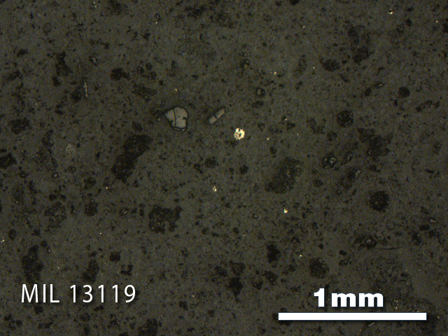 Thin Section Photo of Sample MIL 13119 in Reflected Light with 2.5X Magnification