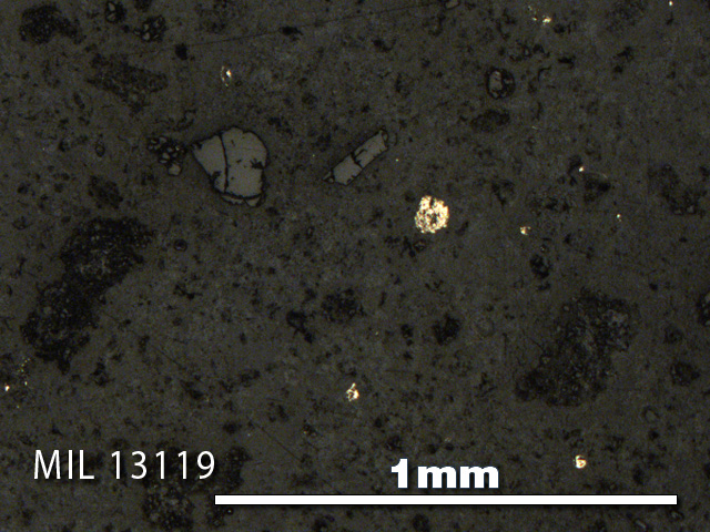 Thin Section Photo of Sample MIL 13119 in Reflected Light with 5X Magnification